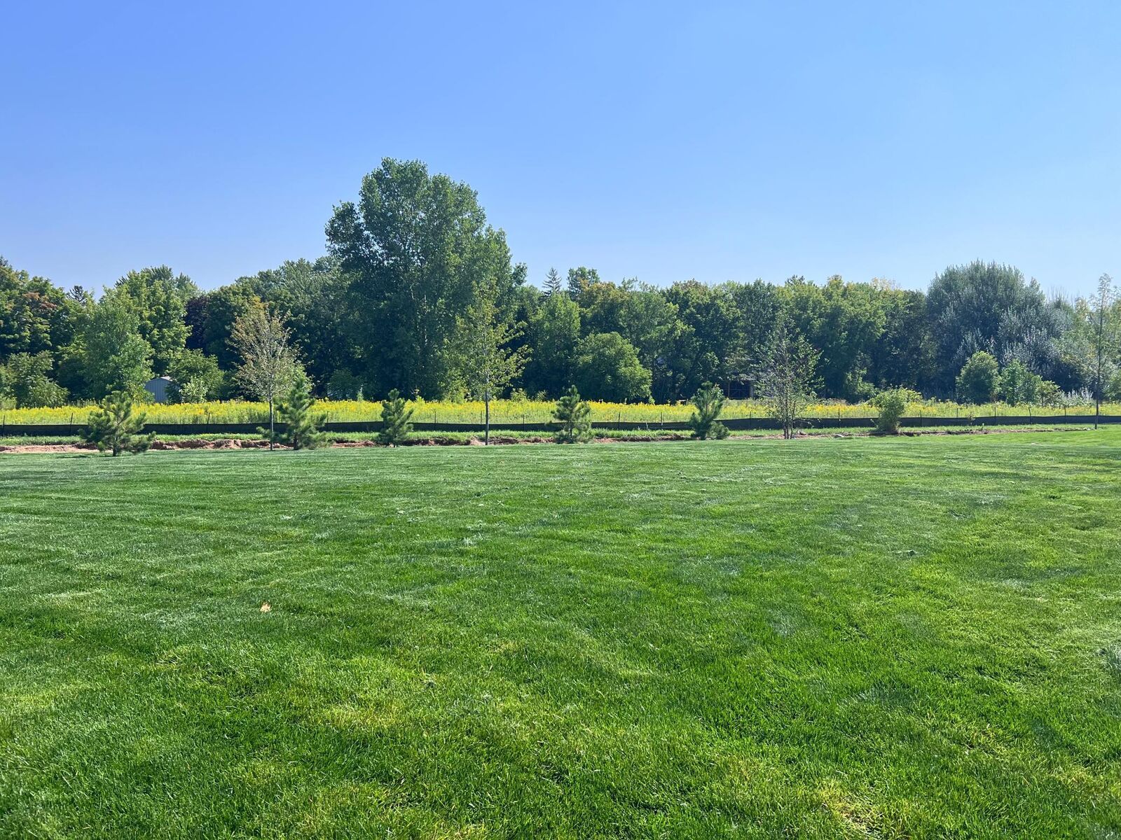 Property Photo:  4816 Obsidian Way  MN 55386 
