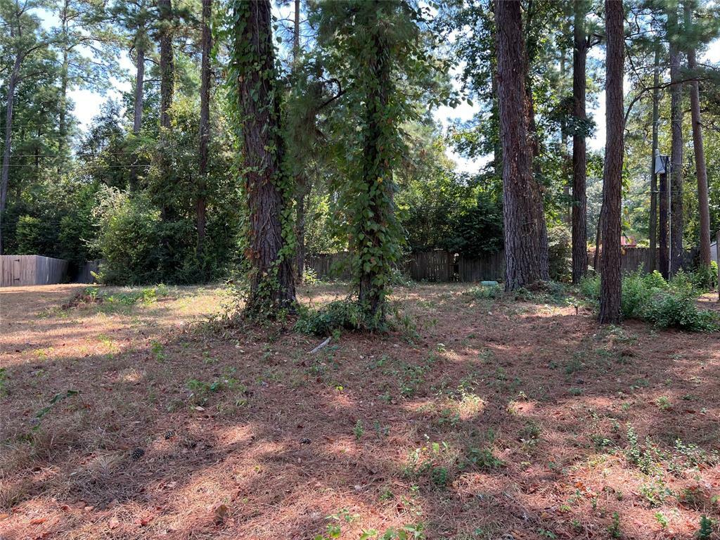 Property Photo: 13910 Dolphin Drive TX 77318