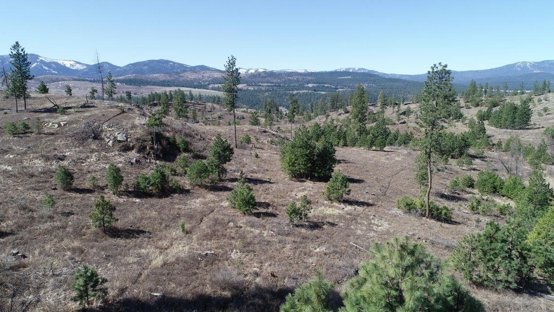 Property Photo:  Xxx Old Arden Hwy  WA 99114 