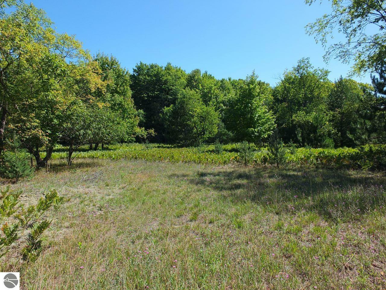 Property Photo:  Parcel E Eden Lane  MI 49683 