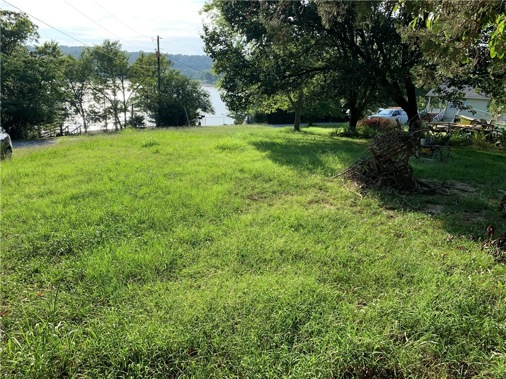 Property Photo: Lot 20 Ford'S Rock Landing AR 72758