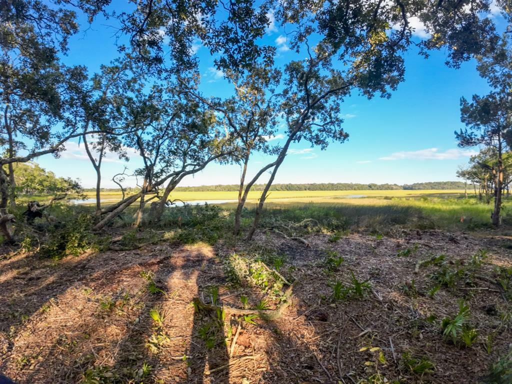 Property Photo:  148 Crane Island Drive  FL 32034 