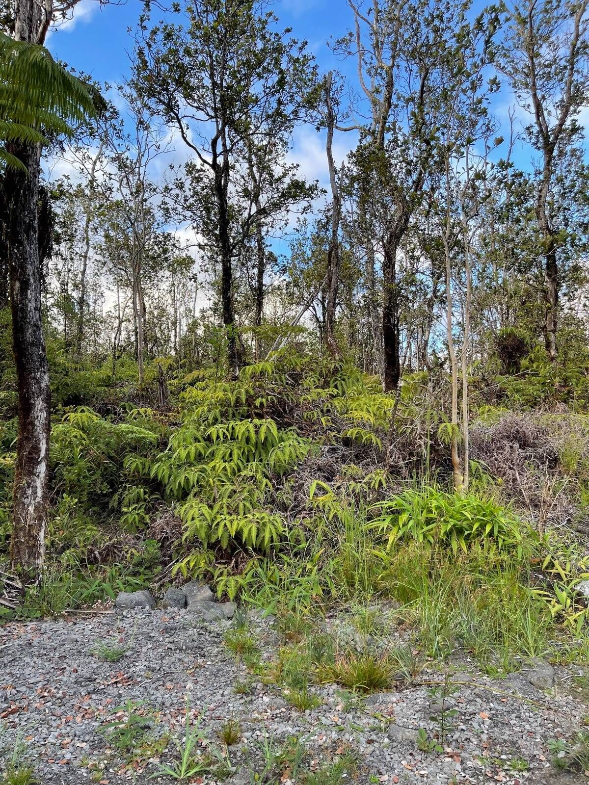 Property Photo:  11-3116 Mokuna St  HI 96785 