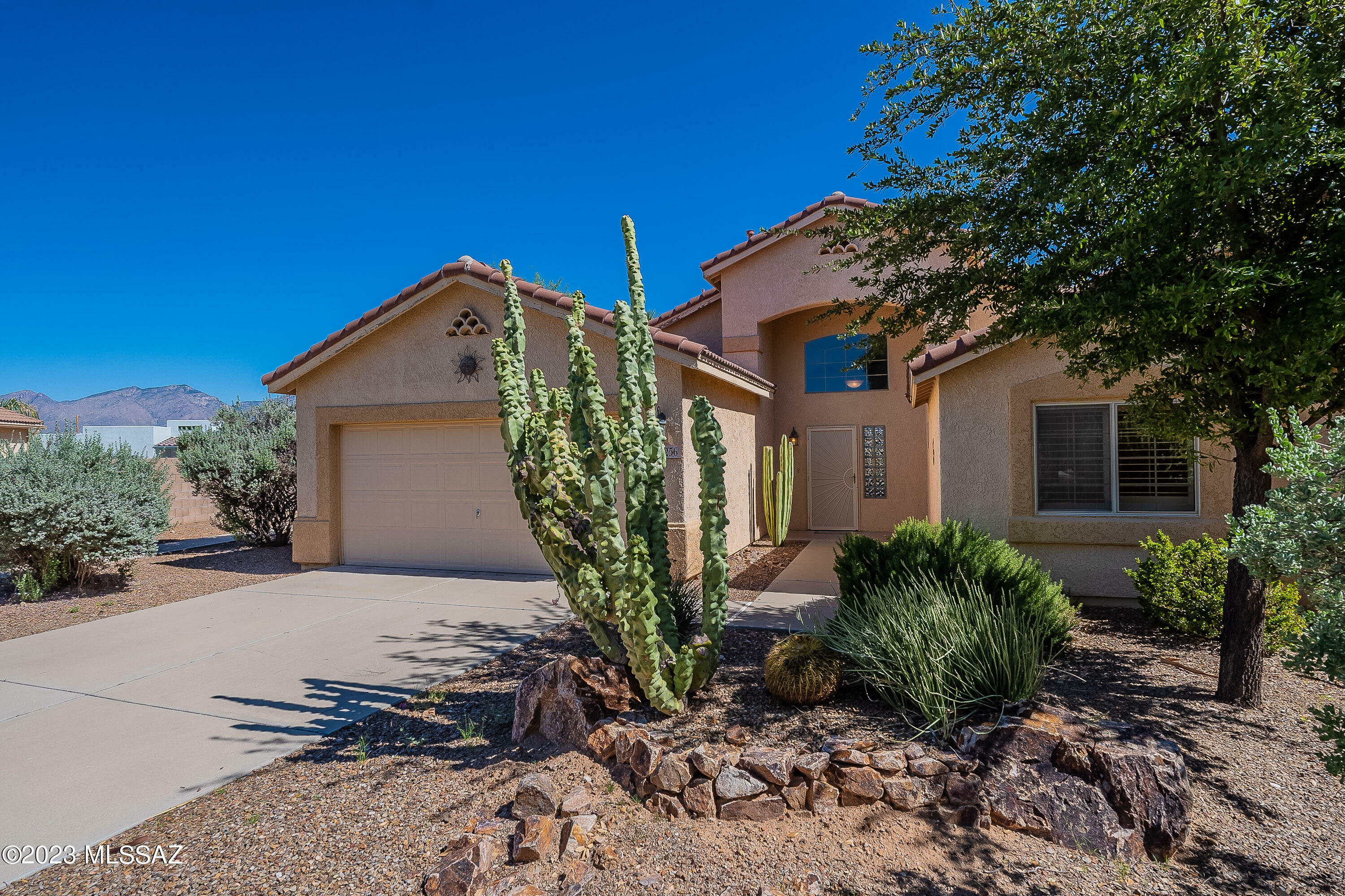 8256 Crooked Tree Trail  Tucson AZ 85715 photo