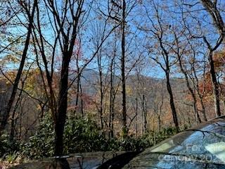 Property Photo:  20 Tsalagi Trail  NC 28751 