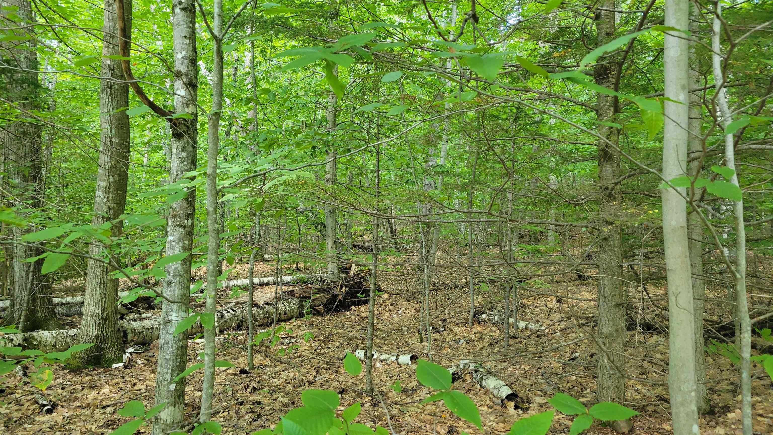 Property Photo: 11-1-7 David Thompson Drive NH 03223