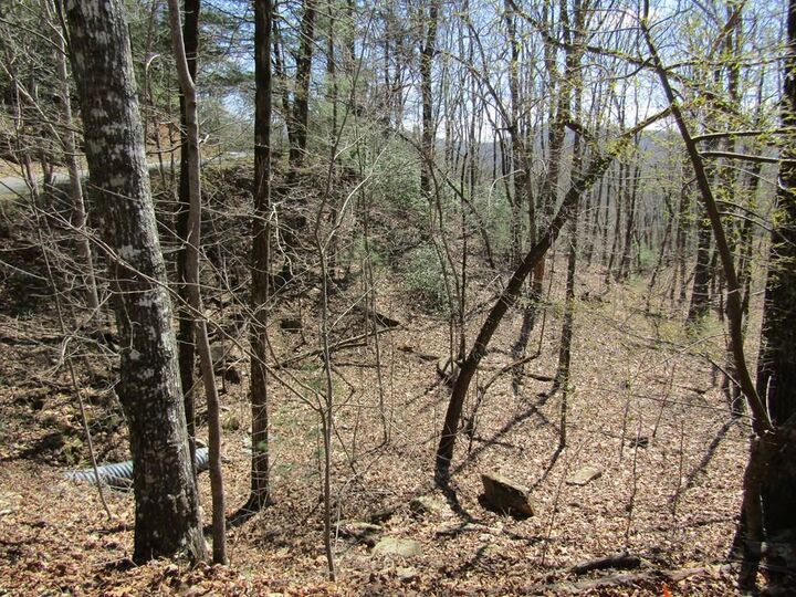 Property Photo:  Lot 27 Mission Ridge  NC 28904 