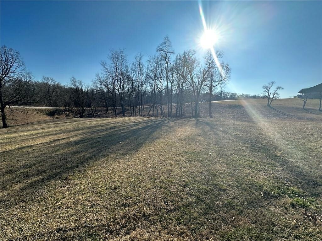 Property Photo:  Lot 13 Bunch Circle  AR 72736 