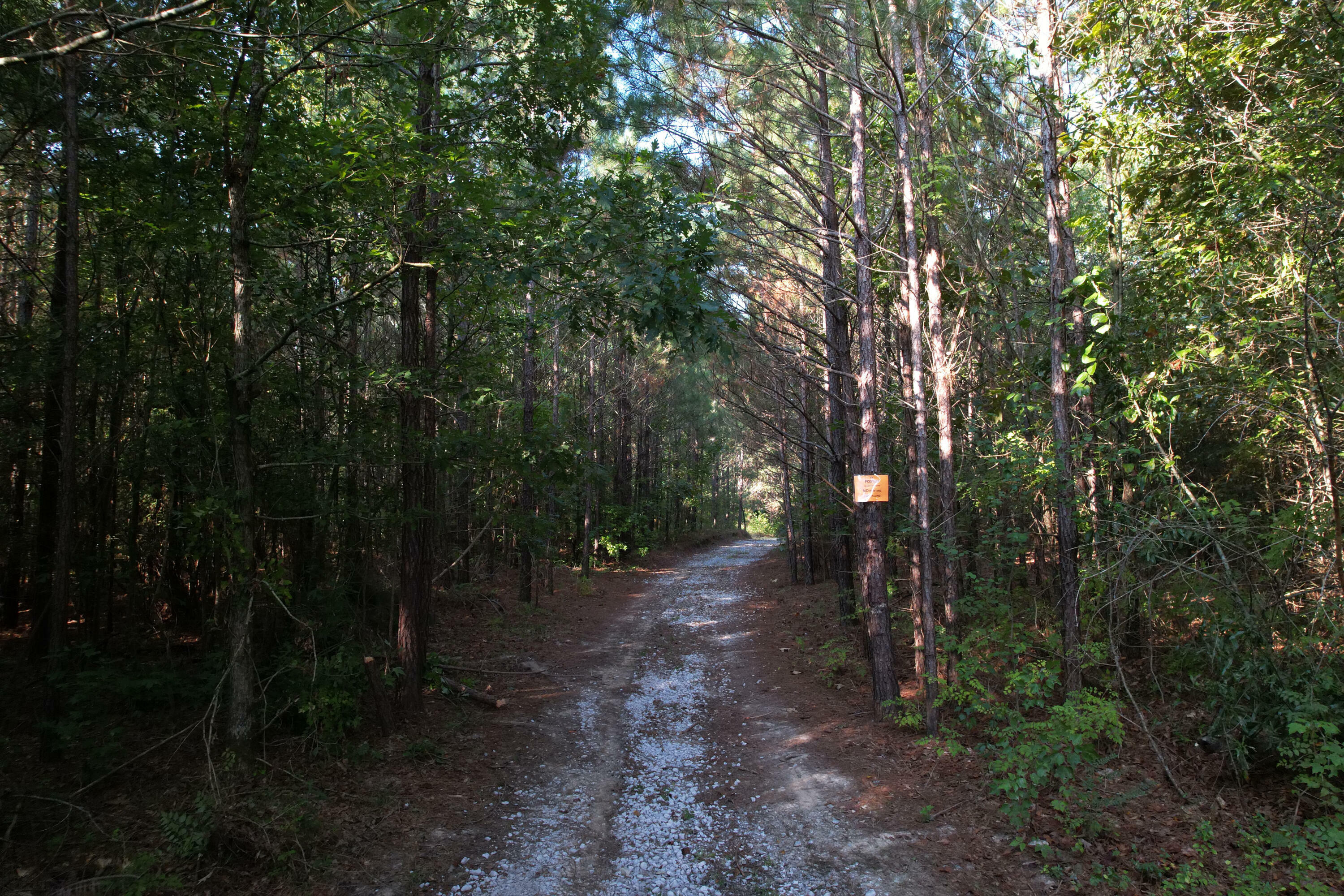 Property Photo: 0 River Road Rd GA 30705