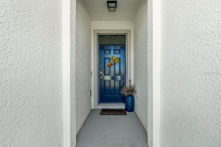Property Photo: 13229 Waterleaf Garden Circle FL 33579