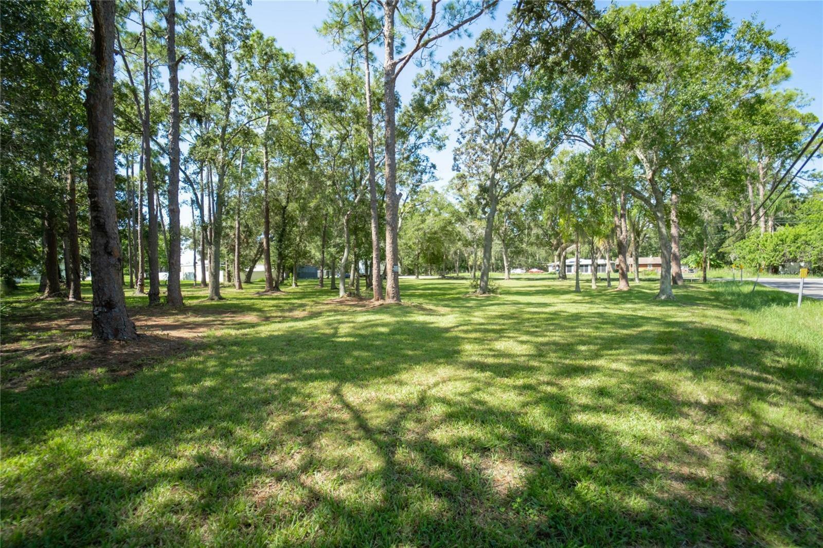 Property Photo:  8701 Hart Lane  FL 33635 