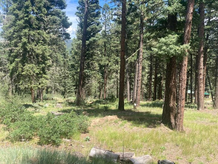 Property Photo: Valle Escondido Wapiti Loop NM 87571