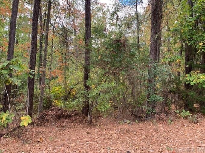Property Photo:  9.66 Acres Bensberg Road  AR 71701 