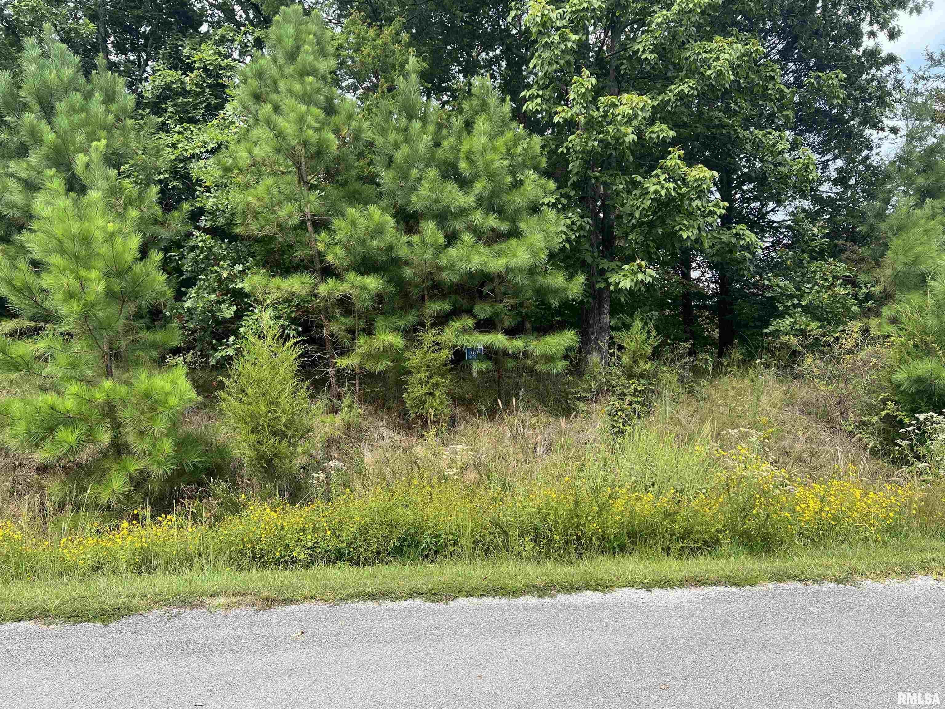 Property Photo: Lot 306 Pecan Point Lane IL 62939