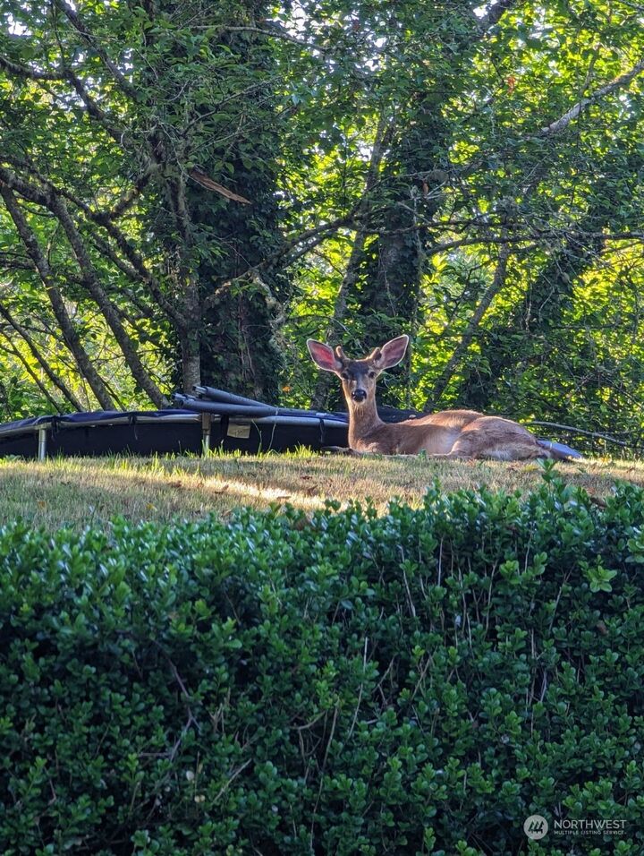 Property Photo: 1400 Pioneer Boulevard WA 98520