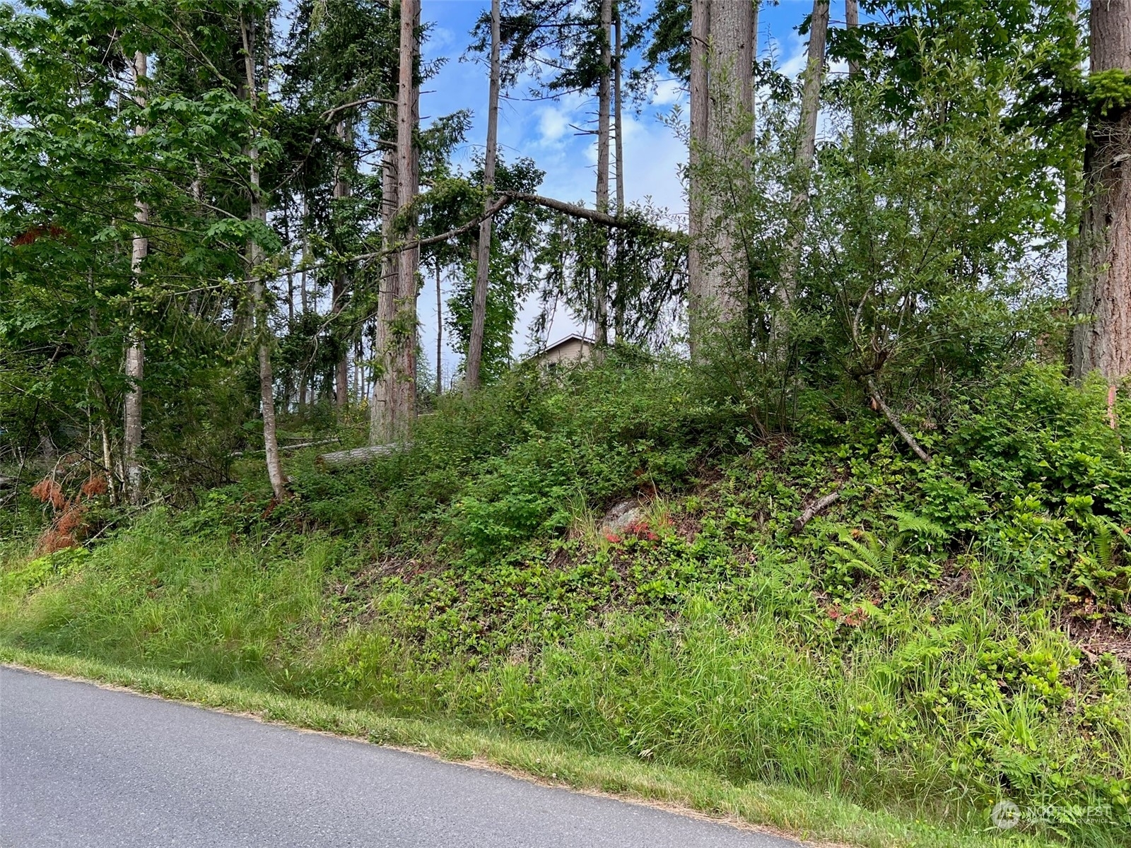 Property Photo:  0 84th Drive NW  WA 98292 