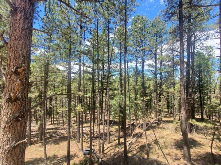 Property Photo:  Lot 90 Back Basin  NM 87710 
