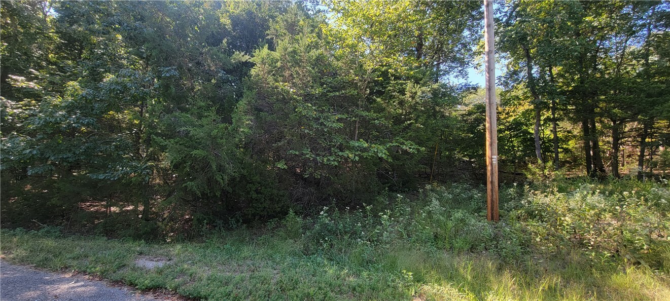 Property Photo: 19 Hickory Circle AR 72631
