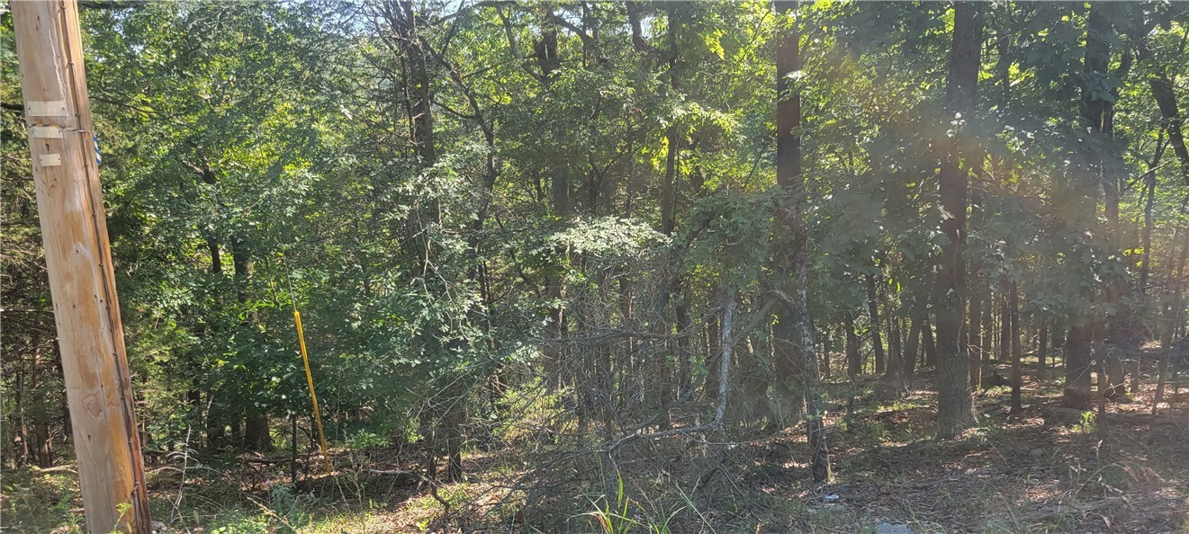 Property Photo: 24 Twin Peak Drive AR 72631