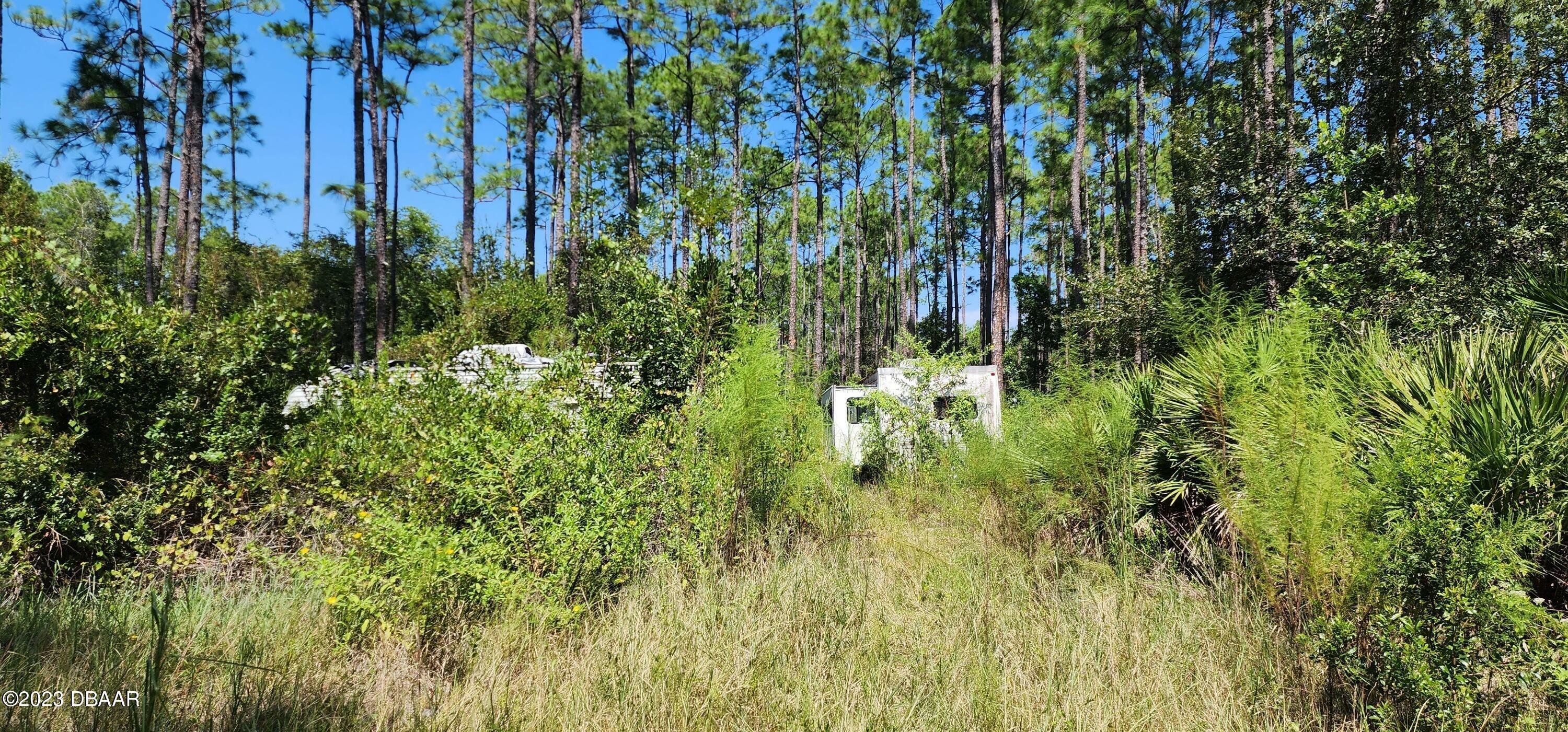 5356 Nutwood Avenue  Bunnell FL 32110 photo