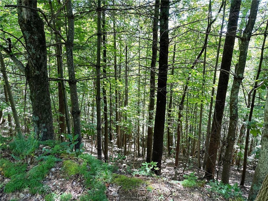 Property Photo:  Off Old Nc Highway 16  NC 28651 