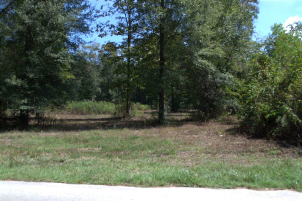 Property Photo: 11411 Crossno Drive TX 77328