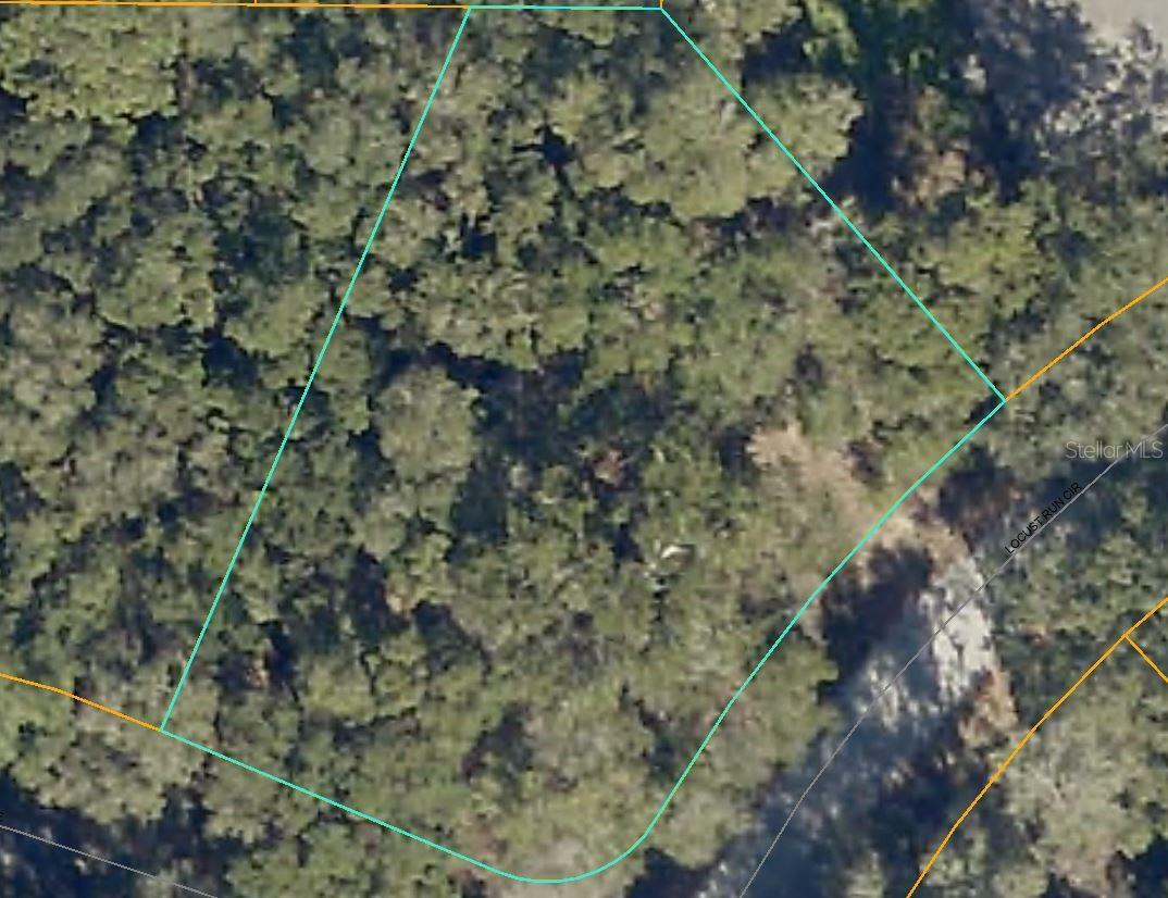 Property Photo:  Locust Run Trace  FL 34472 