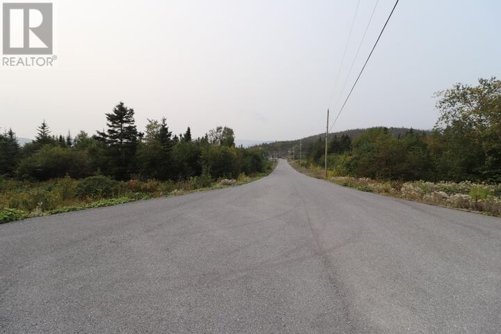 Property Photo:  14 Hollands Memorial Drive  NL A0K 3V0 