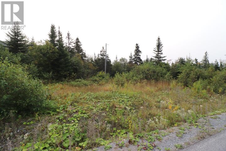 Property Photo:  10 Hollands Memorial Drive  NL A0K 3V0 