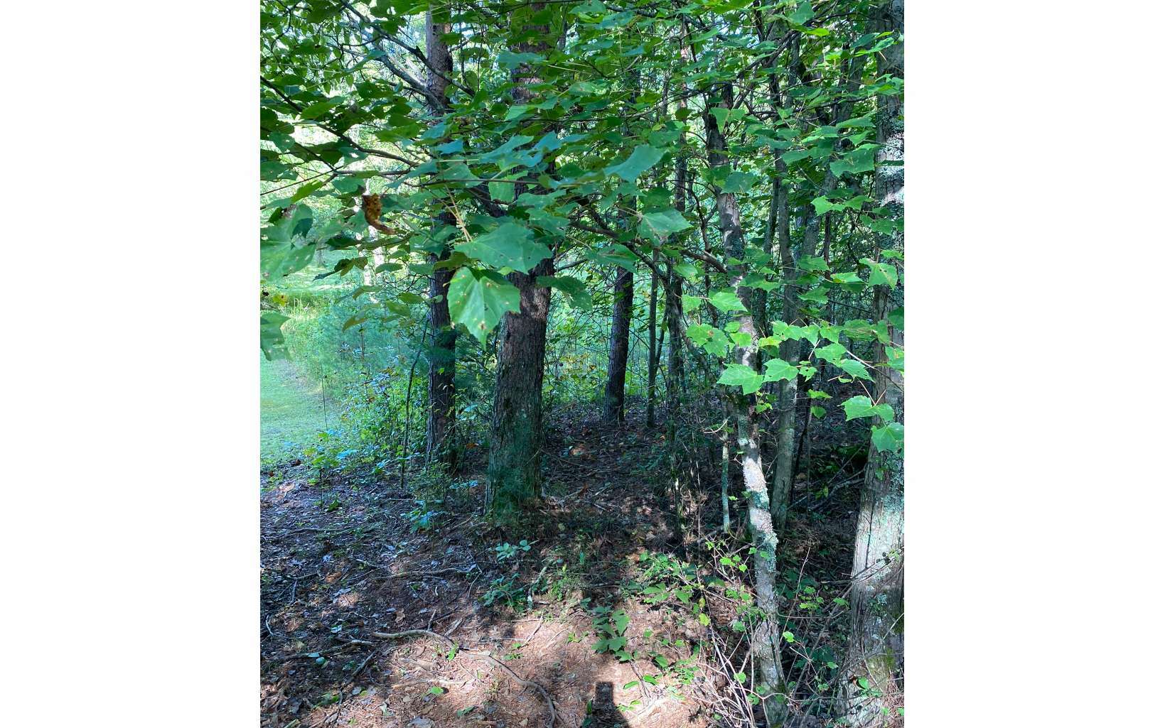 Property Photo:  Tbd Blackberry/Peachtree  GA 30512 