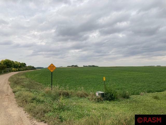 Property Photo:  Lot 1 135th Street  MN 56041 