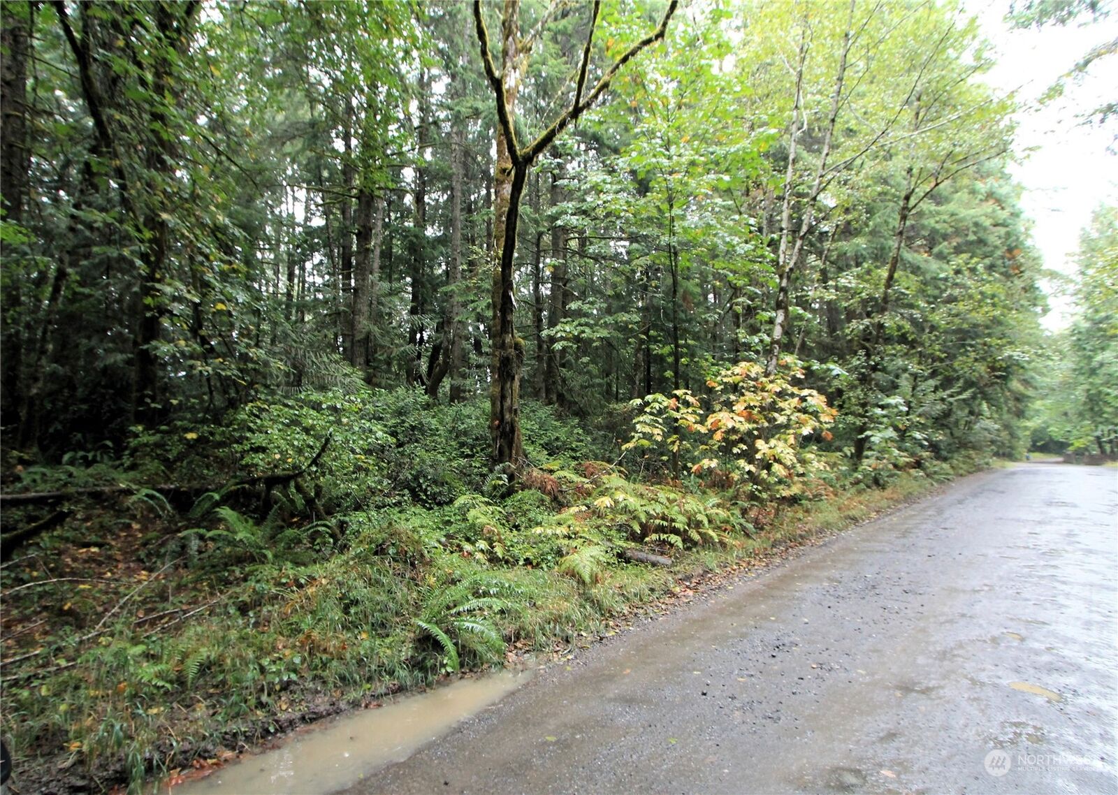 MLS2165435 0 Alderwood Road, Belfair, WA 98528