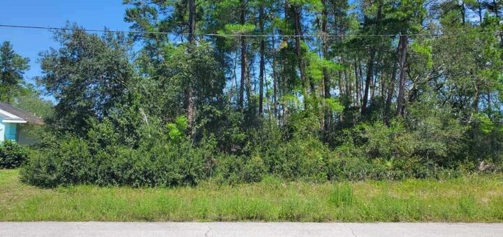 Property Photo:  0 SW 171 Place  FL 34473 