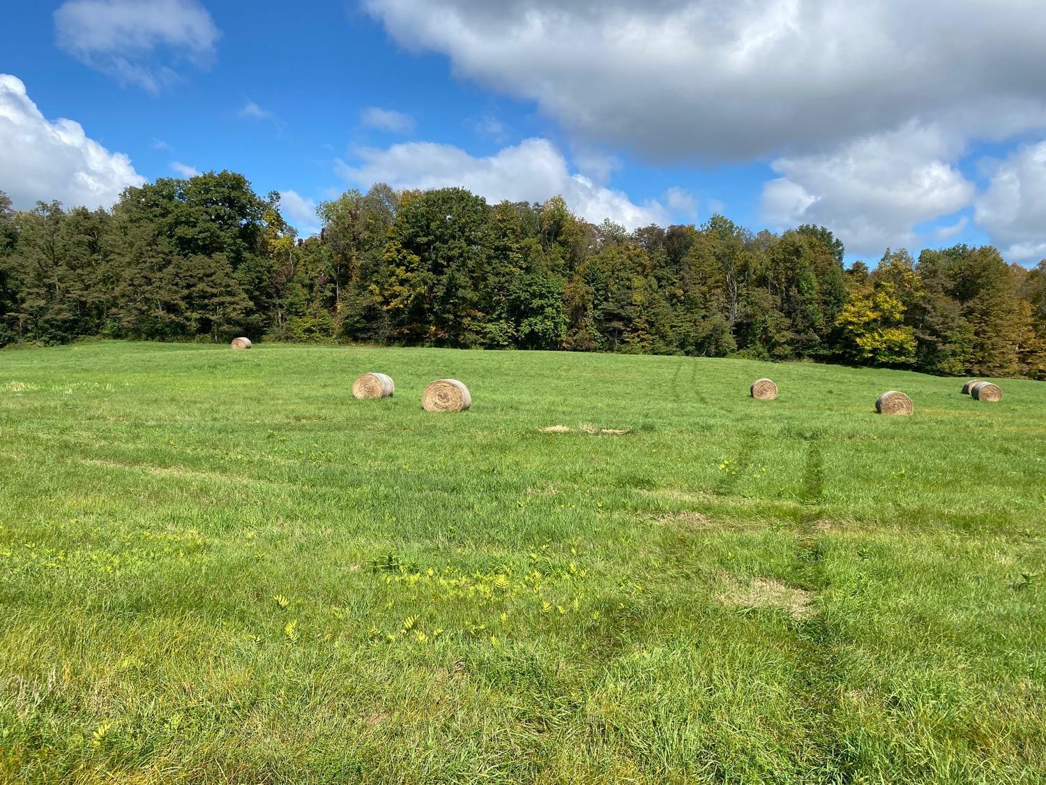 Property Photo: 0 Van Buskirk Gulf Road NY 14867