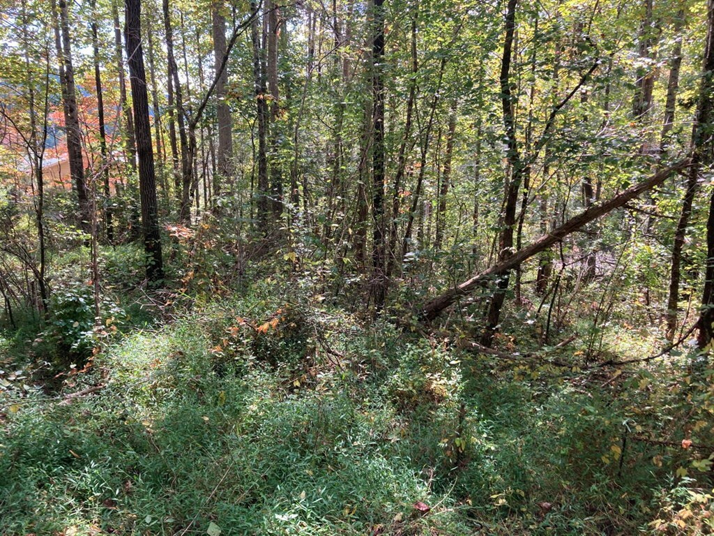 Property Photo:  11 Mountain View Trail  NC 28906 