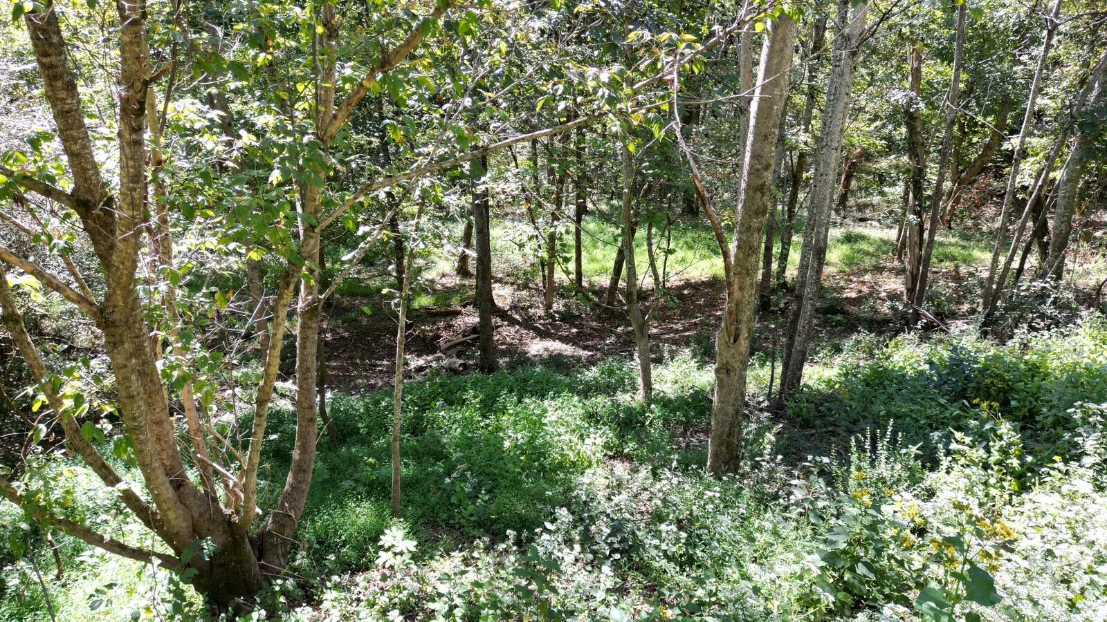 Property Photo:  1525 Shoreside Dr  TN 37166 