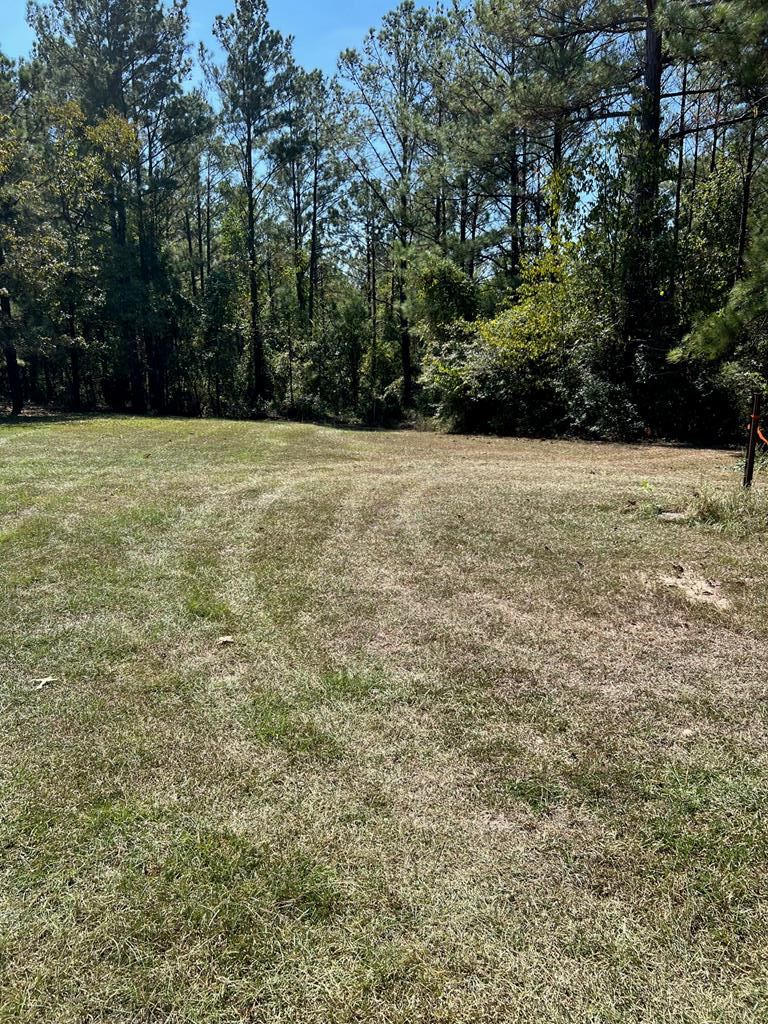 Property Photo: 117 Pine Hill Road GA 31805