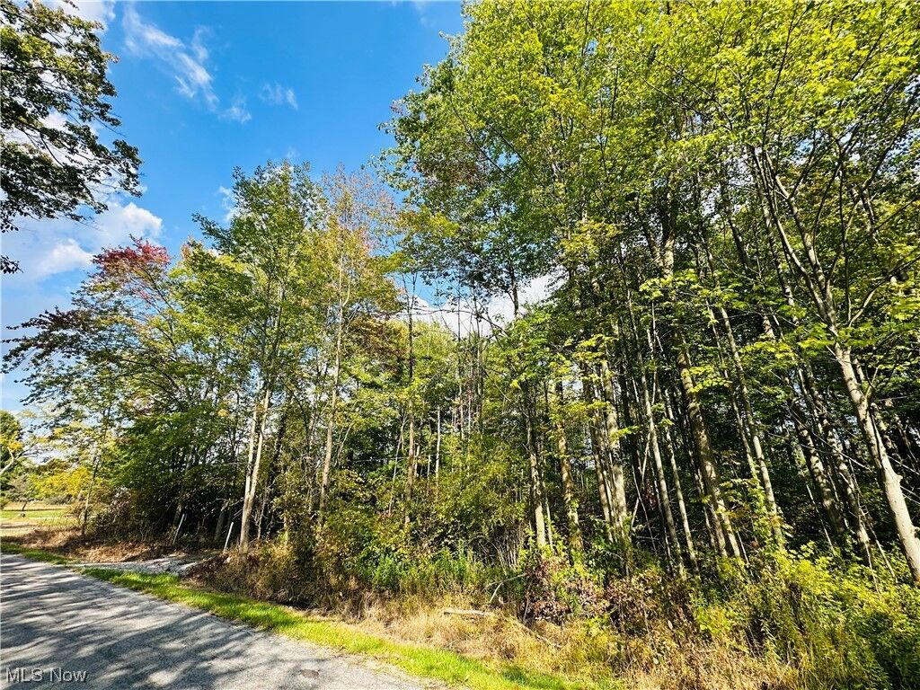 Property Photo:  State Rd 154  OH 44455 