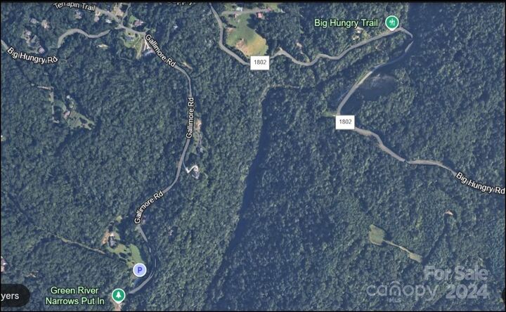 Property Photo: 000 Big Hungry Road NC 28731