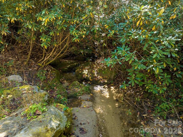 Property Photo:  0 Big Hungry Road  NC 28731 
