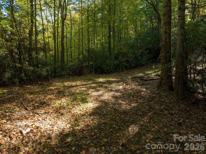 Property Photo:  0 Big Hungry Road  NC 28731 