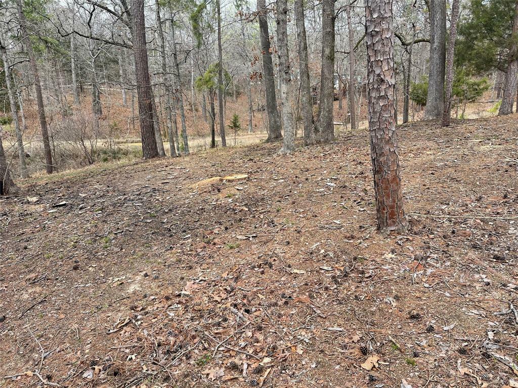 Property Photo:  Tbd King Thomas Drive  TX 75480 