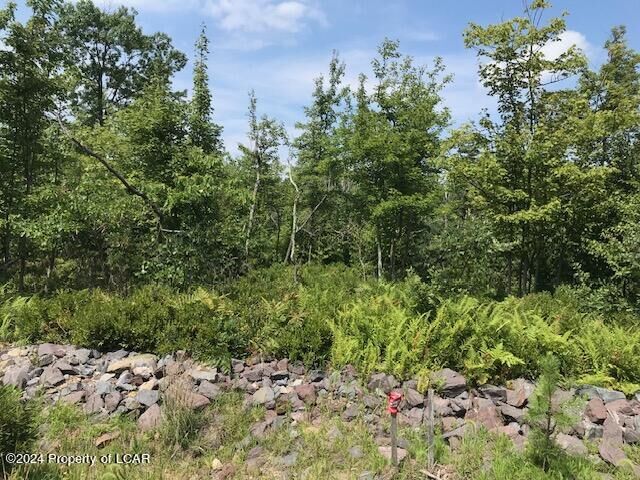 Property Photo: 555 Mountain View Drive PA 18202