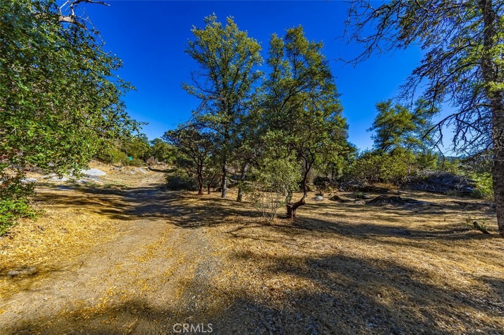 Property Photo:  4200 Silver Lane Road  CA 95338 