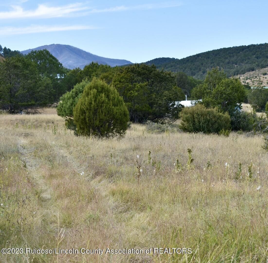 Property Photo:  Lot 3 Drover Court  NM 88312 