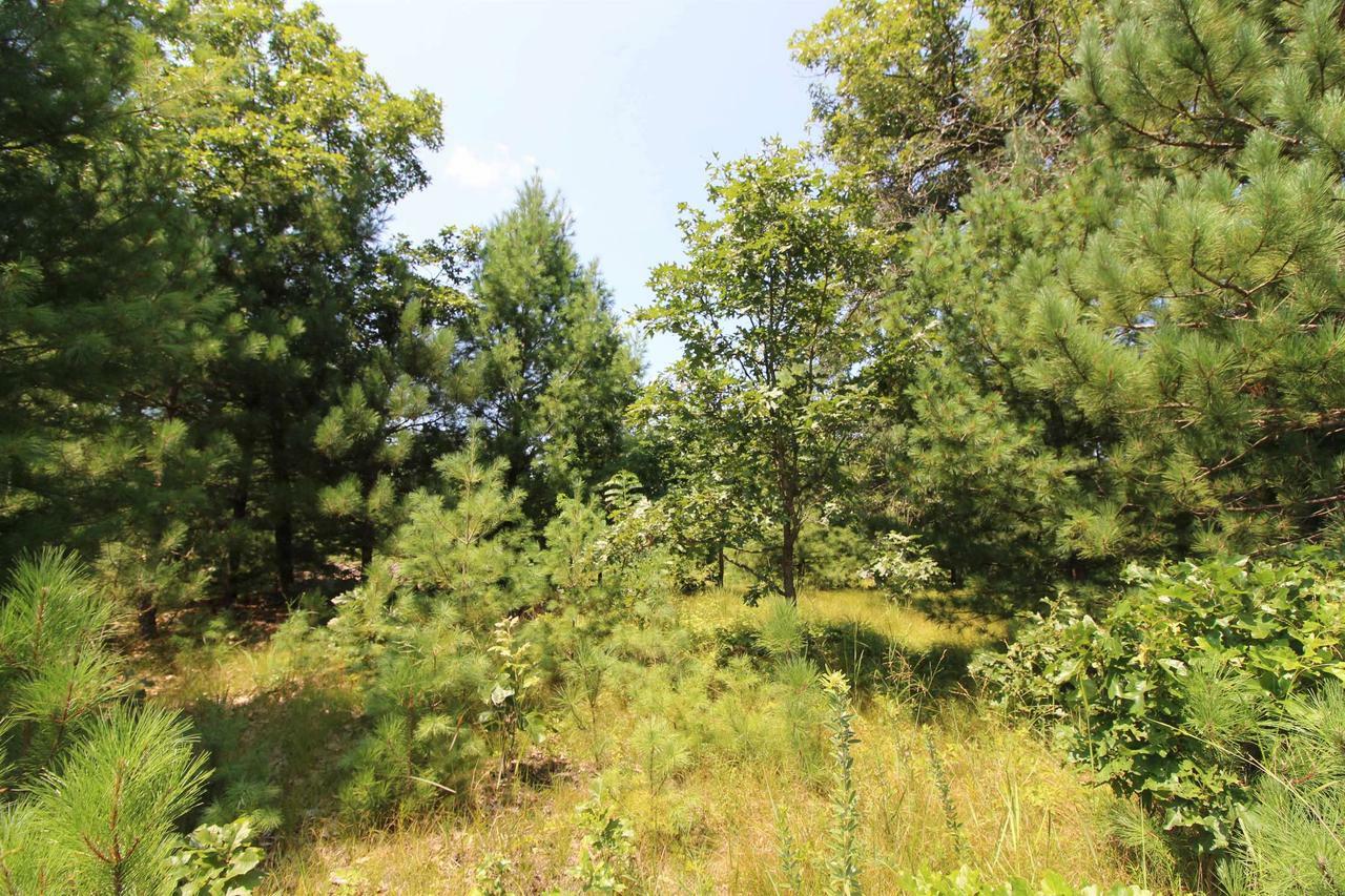 Property Photo:  Lot20 Timber Trail  WI 53588 