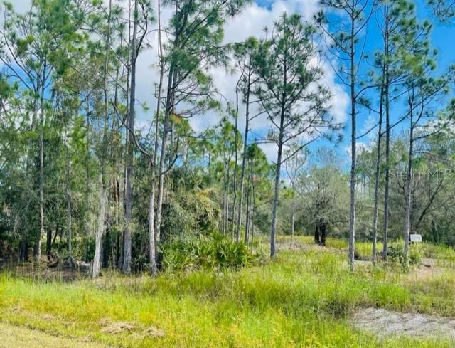 Property Photo:  13484 Michilin Avenue  FL 33955 