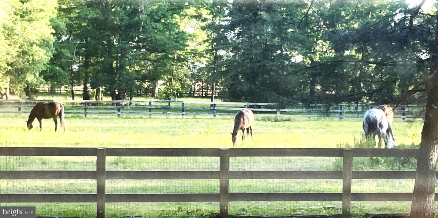 Property Photo:  15539 Newbys Shop Road  VA 22718 
