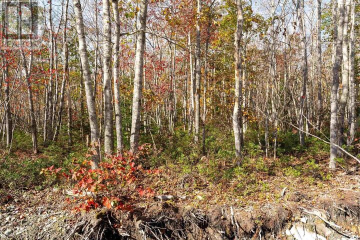 62 Morton Drive — photo 1
