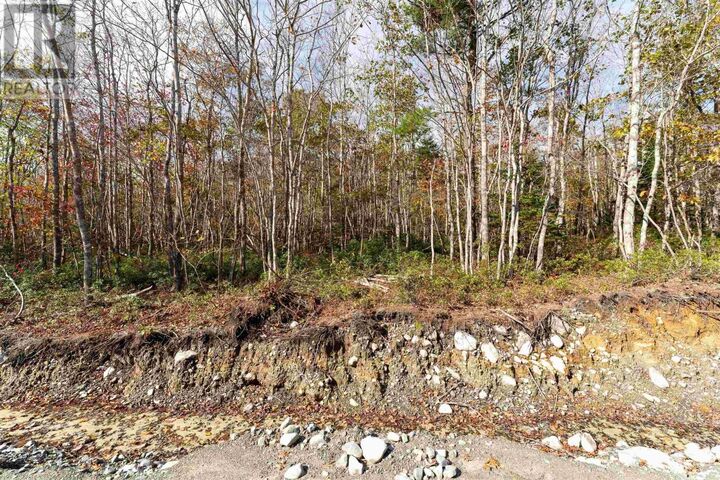 63 Morton Drive — photo 1